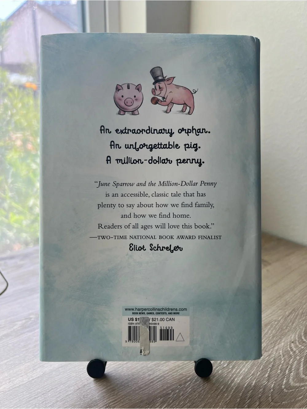 June Sparrow and the Million-Dollar Penny Rebecca Chace 1st Edition Hardcover